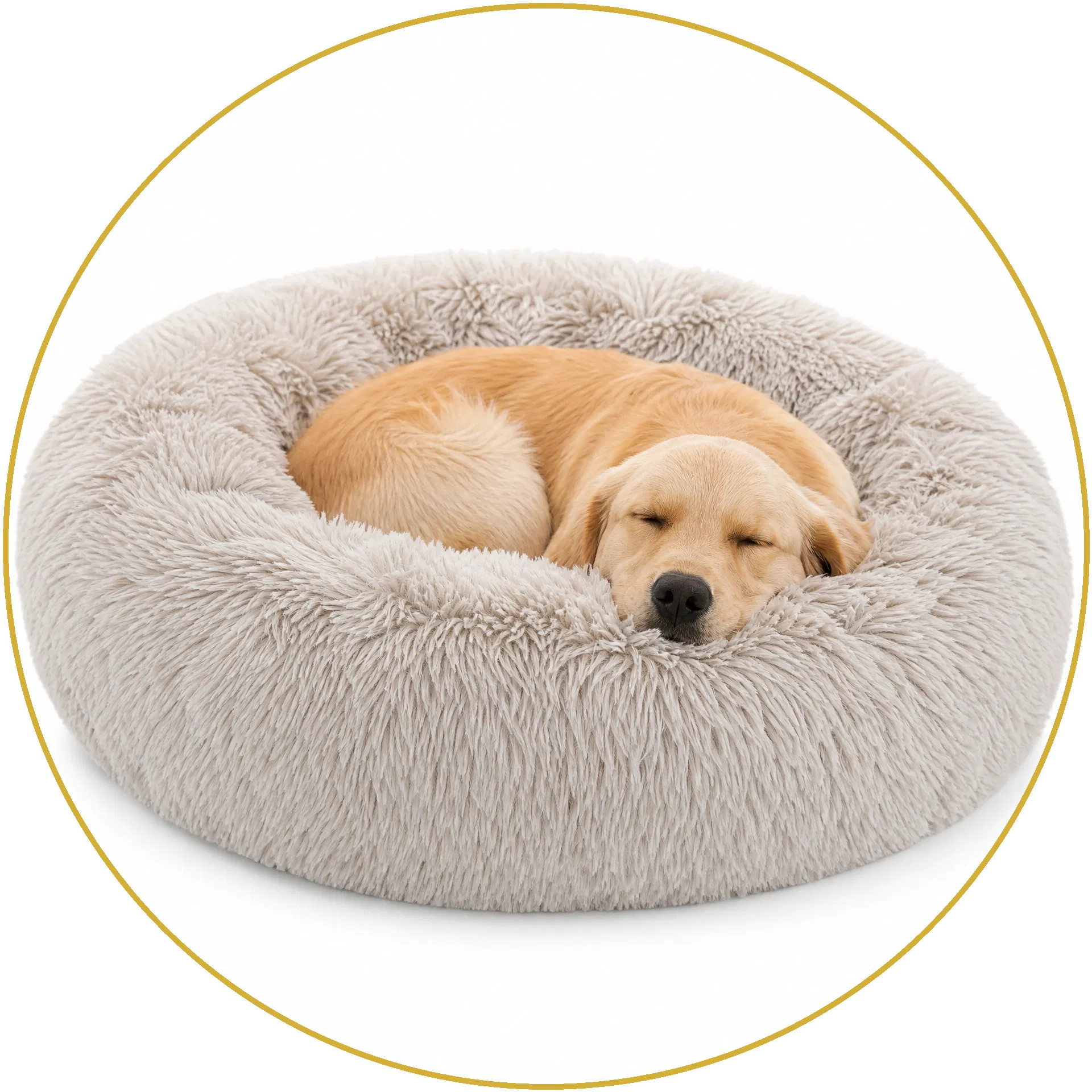 Calming Dog Beds