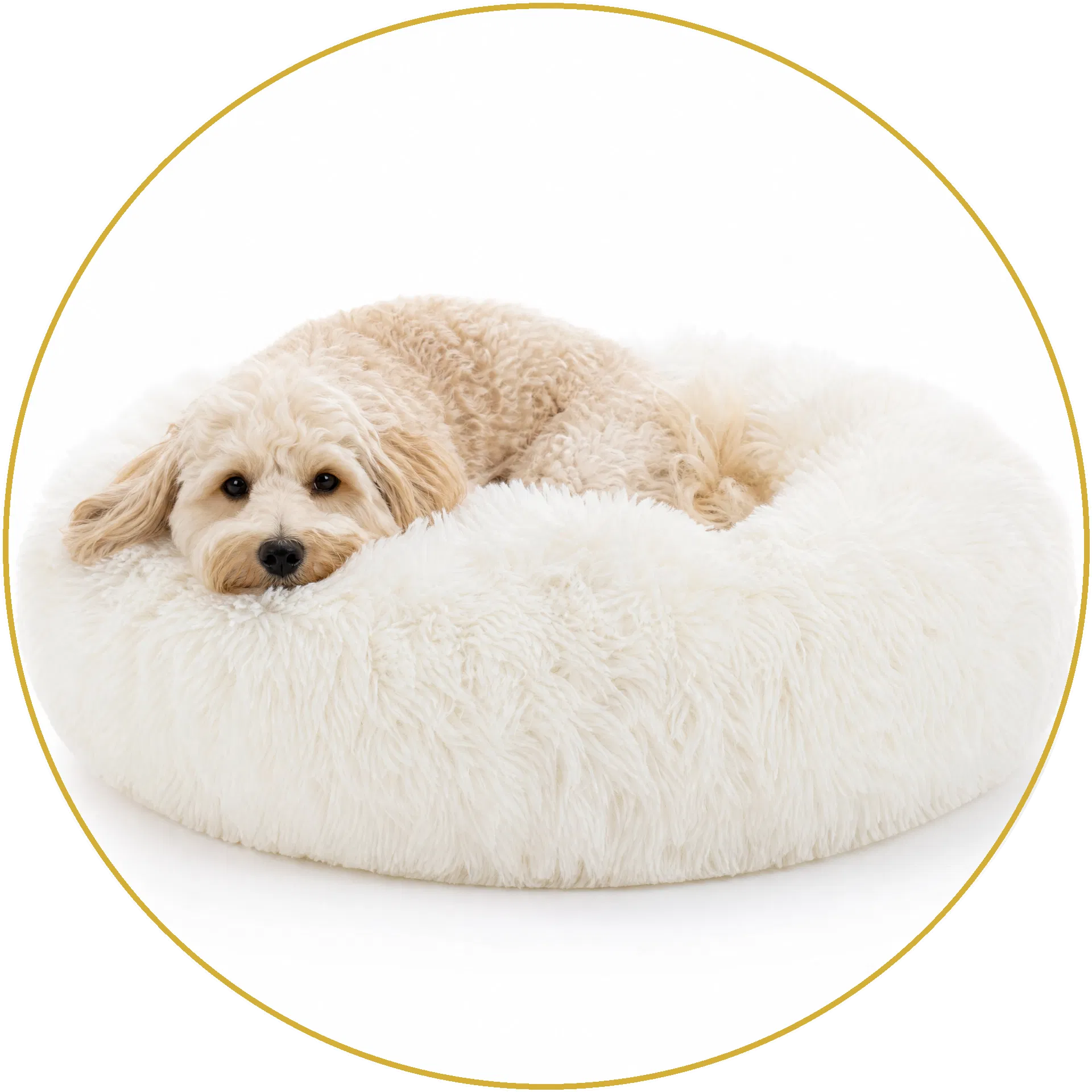 Fluffy Dog Beds