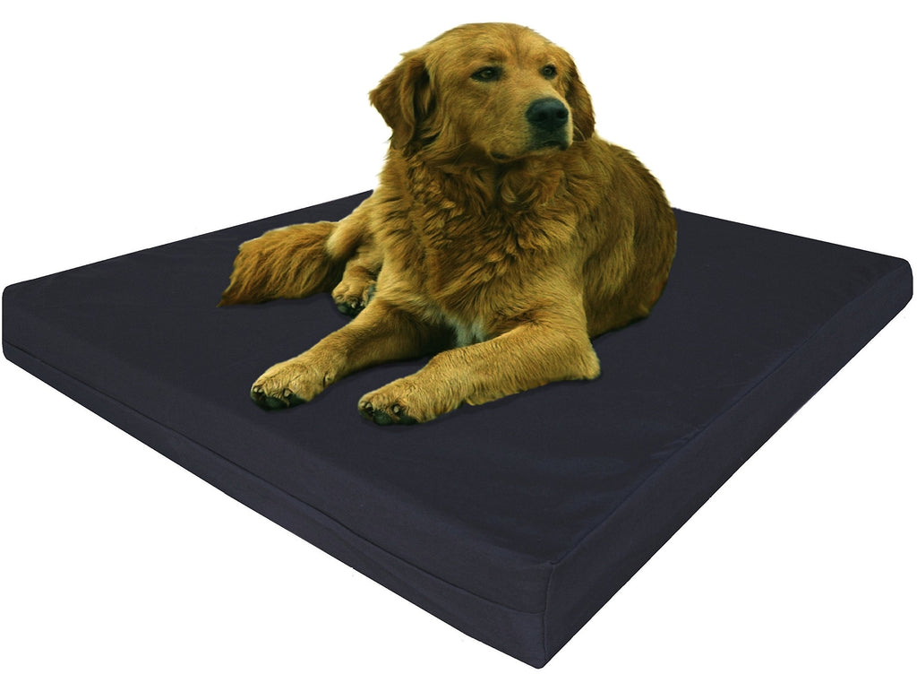 Dogbed4less Extra Large True Orthopedic Gel Memory Foam Dog Bed Waterproof Liner and Durable Black Canvas Cover XL 40X35X4 Inch