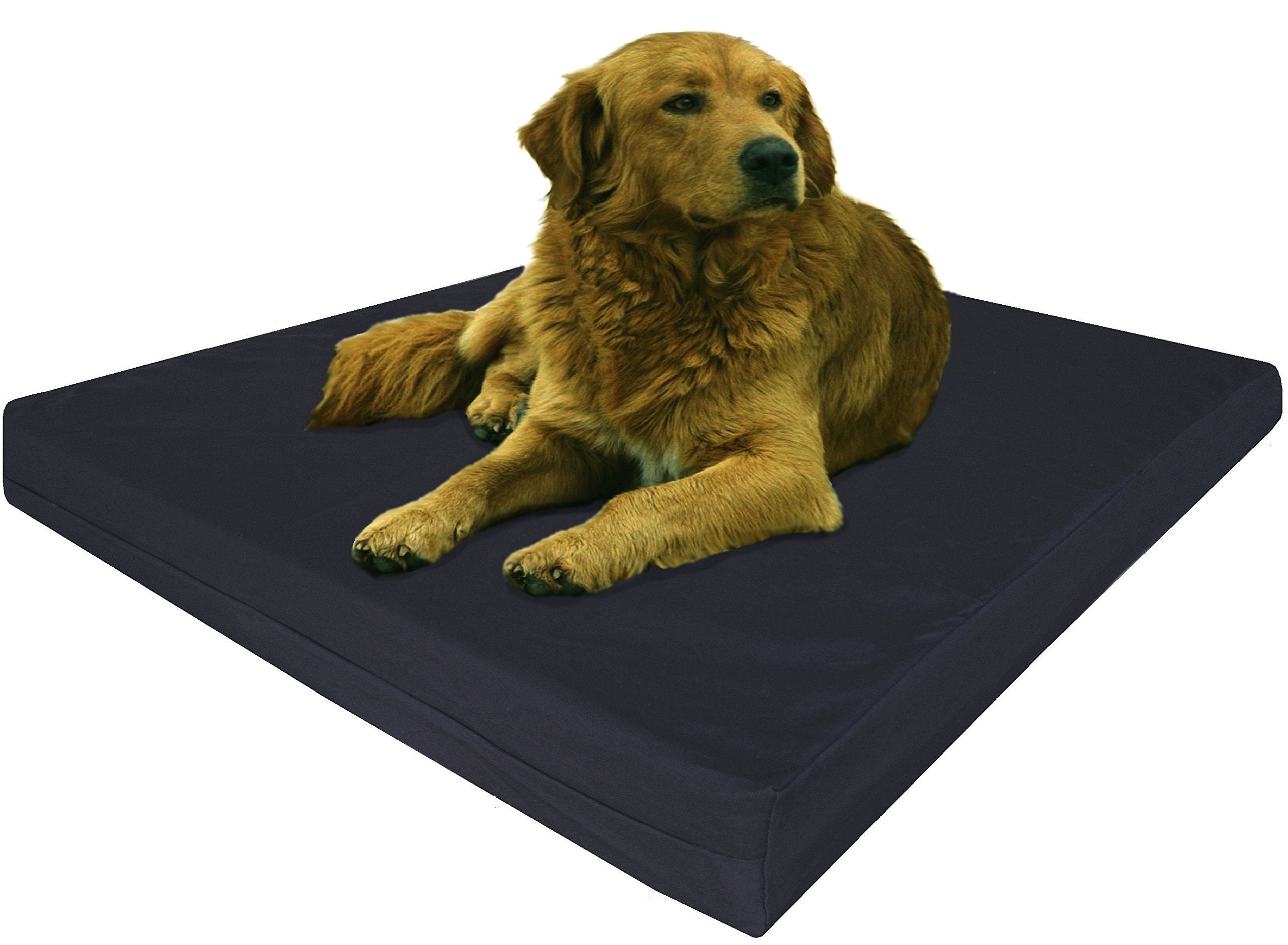 Dogbed4less Extra Large True Orthopedic Gel Memory Foam Dog Bed Waterproof Liner and Durable Black Canvas Cover XL 40X35X4 Inch