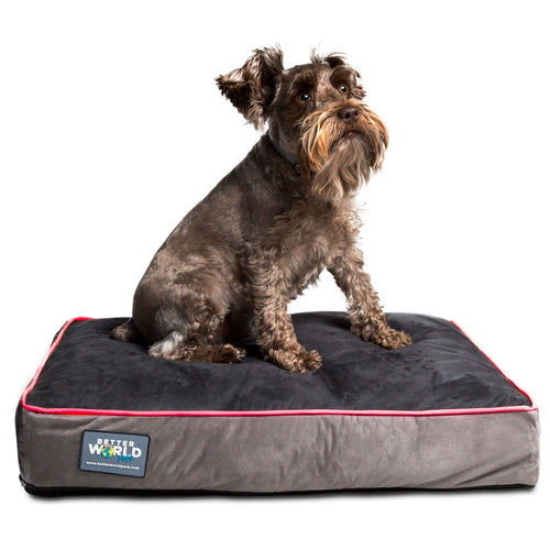 Better World Pets 5-inch Thick Orthopedic Dog Bed | Pure Premium Shredded Memory Foam Ideal for Aging Dogs | Waterproof Removable Washable Cover