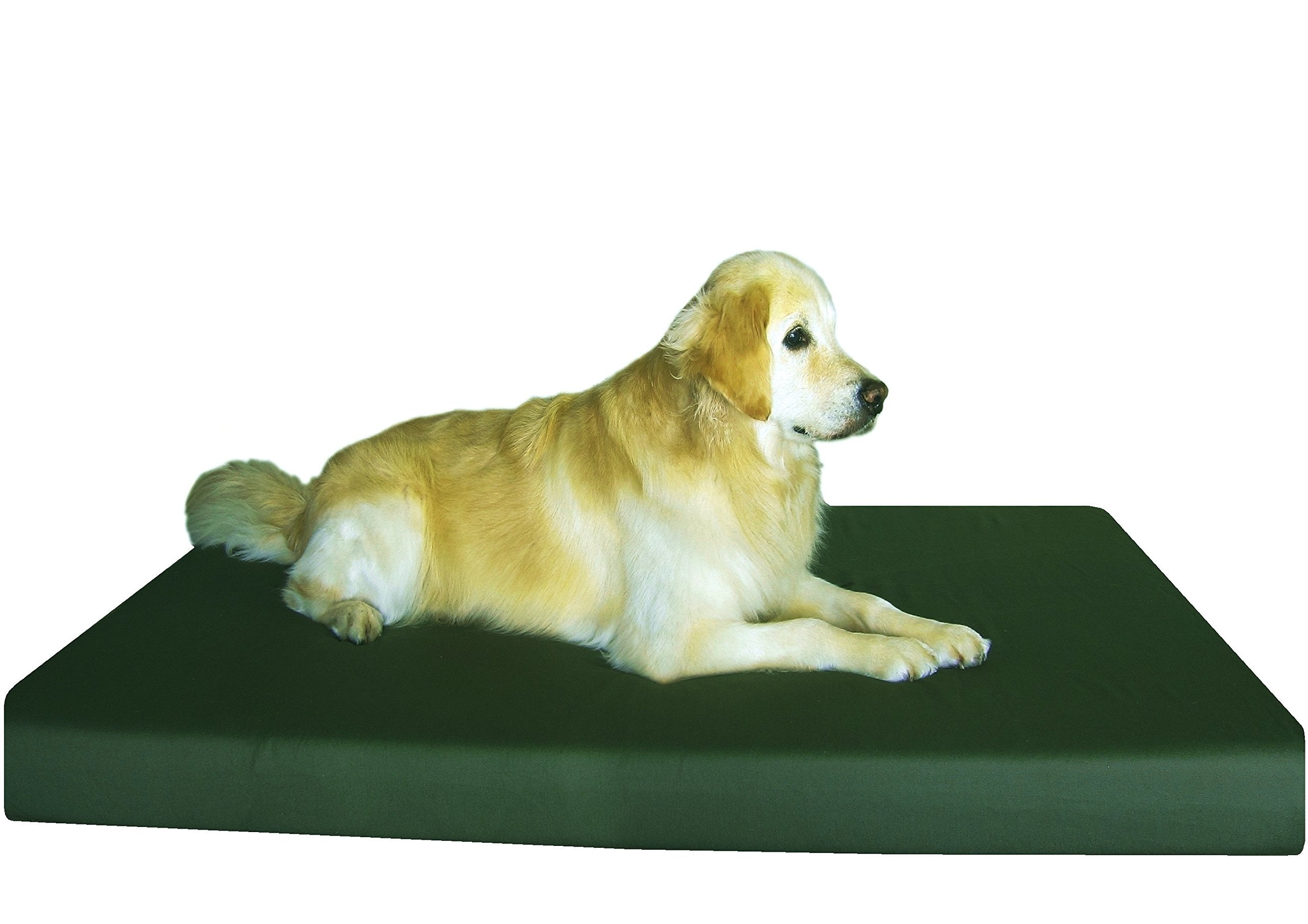 Dogbed4less Orthopedic Gel Infused Memory Foam Dog Bed for Large Pet Waterproof Liner with Durable Canvas Cover 55X37X4 Inch Fit 54X37 Crate