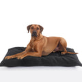 MABOZOO Dog Bed Indestructible Chew Proof Pet Bed Mat Durable Polyester Large 35x22 inches Black for Aggressive Chewers Crate Pad Machine Washable