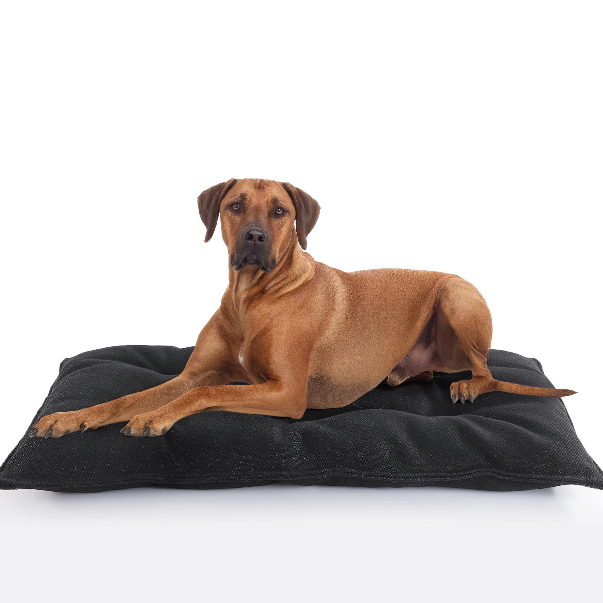MABOZOO Dog Bed Indestructible Chew Proof Pet Bed Mat Durable Polyester Large 35x22 inches Black for Aggressive Chewers Crate Pad Machine Washable