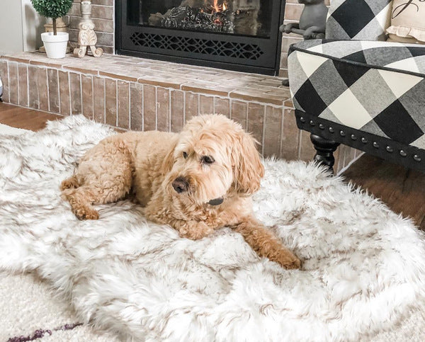 Faux Fur Orthopedic Dog Bed for Support