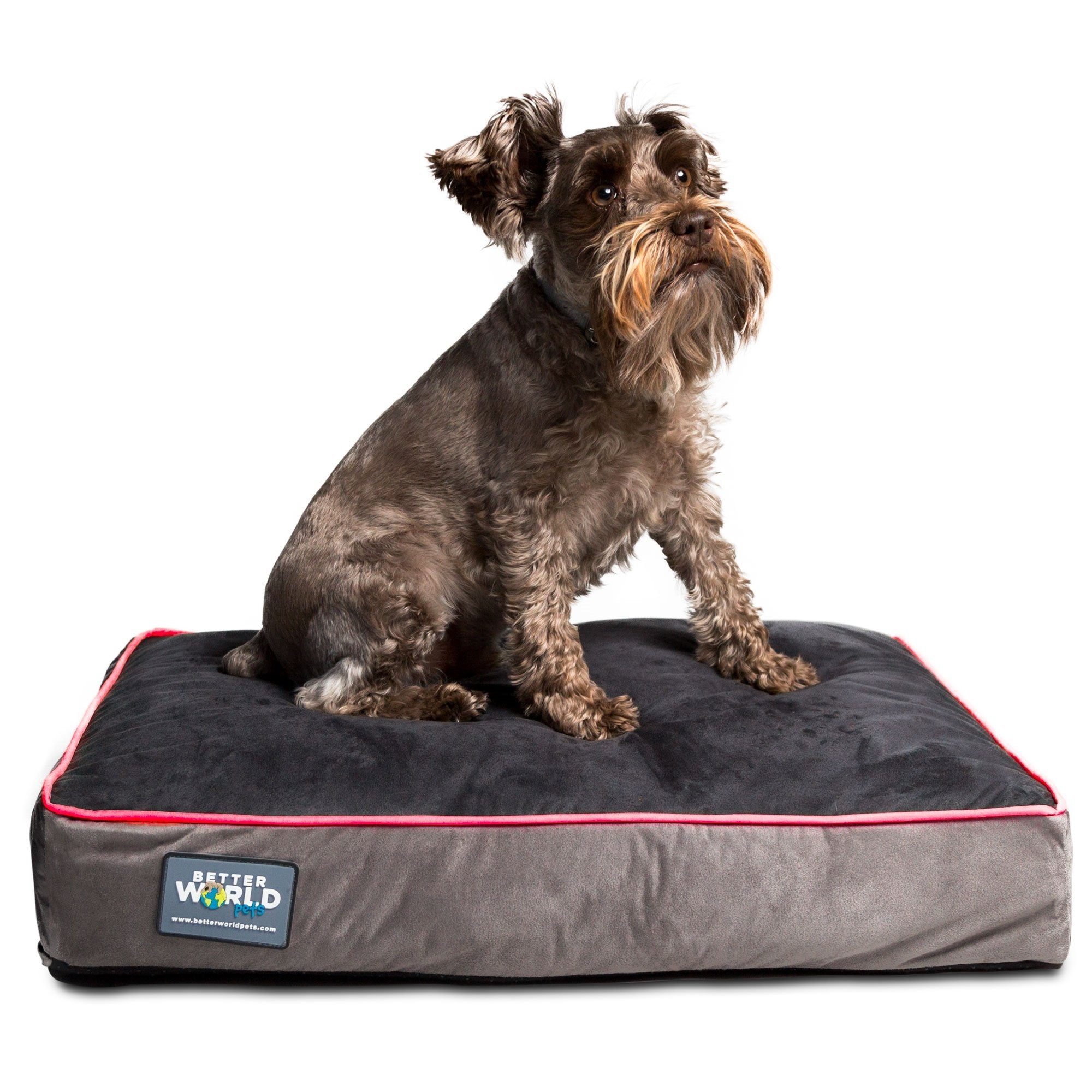 Better World Pets 5-inch Thick Orthopedic Dog Bed | Pure Premium Shredded Memory Foam Ideal for Aging Dogs | Waterproof Removable Washable Cover