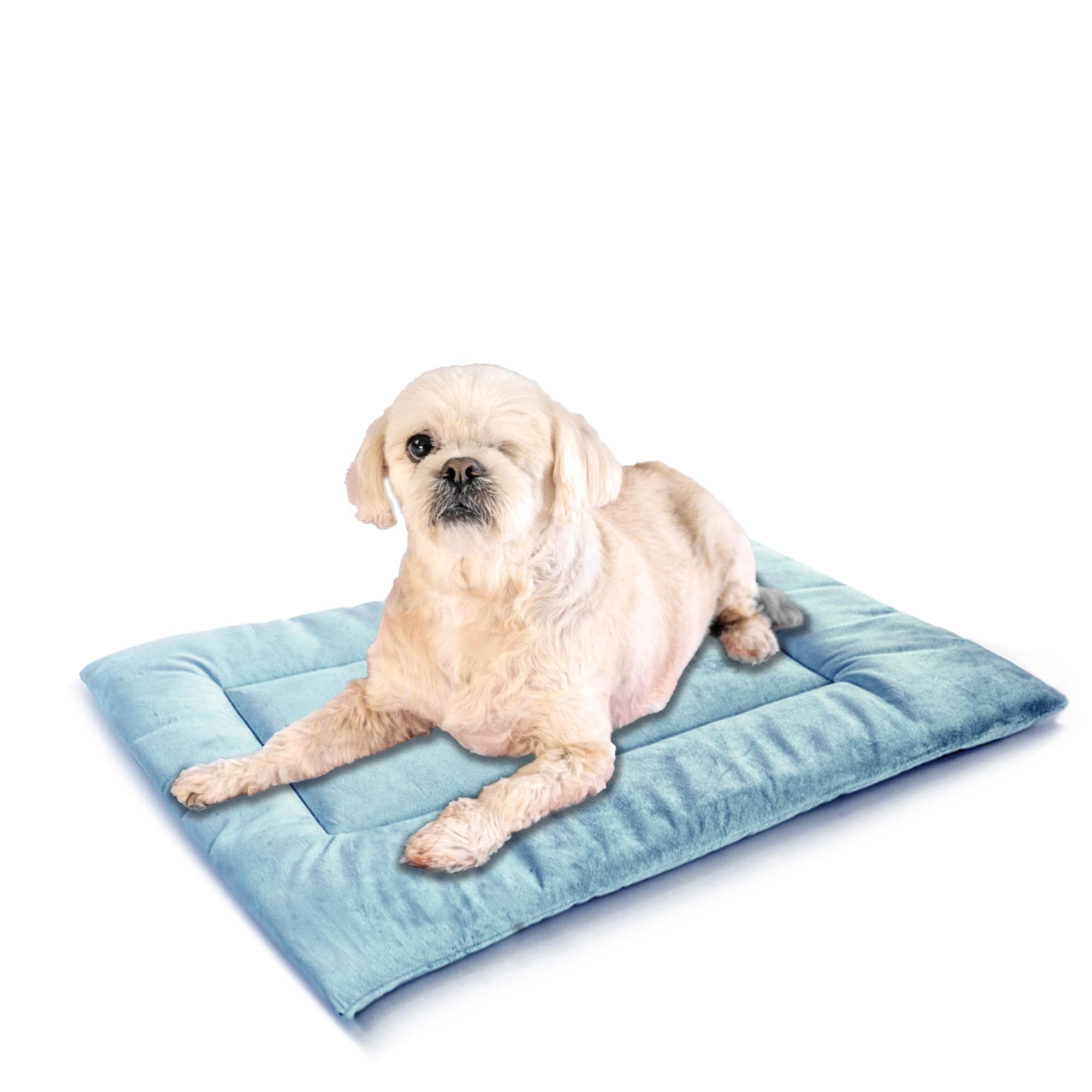 KindTail Dog Crate Pad Soft Velvet Reversible Dog Bed Mat Machine Washable Kennel Pad for Dogs and Cats up to 25 lbs Dog Crate Mattress Pad for Cozy Sleeping 25” x 19” x 1” (Light Blue Medium)