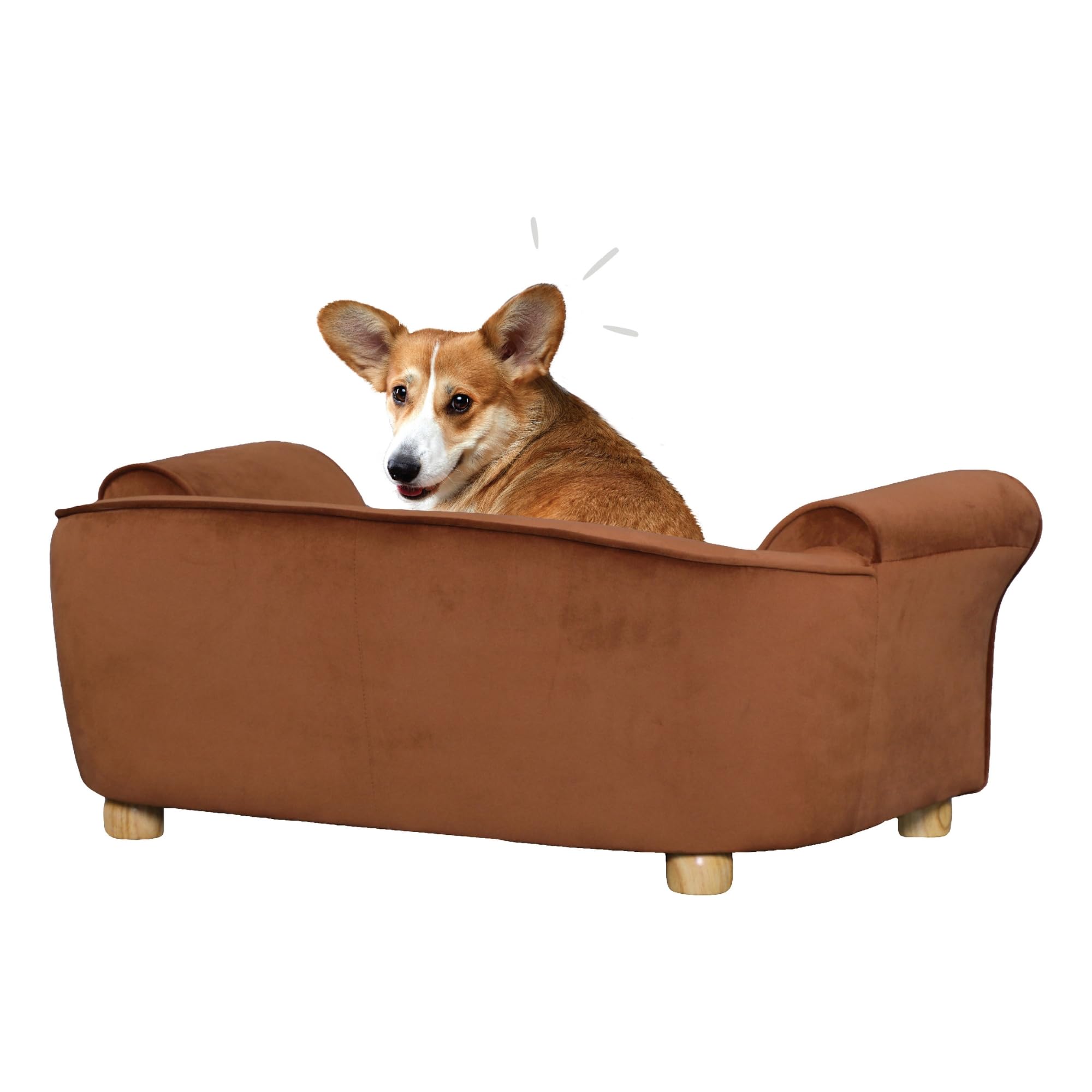 Critter Sitters 34-in. Faux Velvet Dog Sofa in Brown for Medium-Sized Dogs and Cats Durable Dog Sofa Bed for Bedroom and Living Room Durable and Upholstered Dog Couch Modern and Stylish Dog Bed