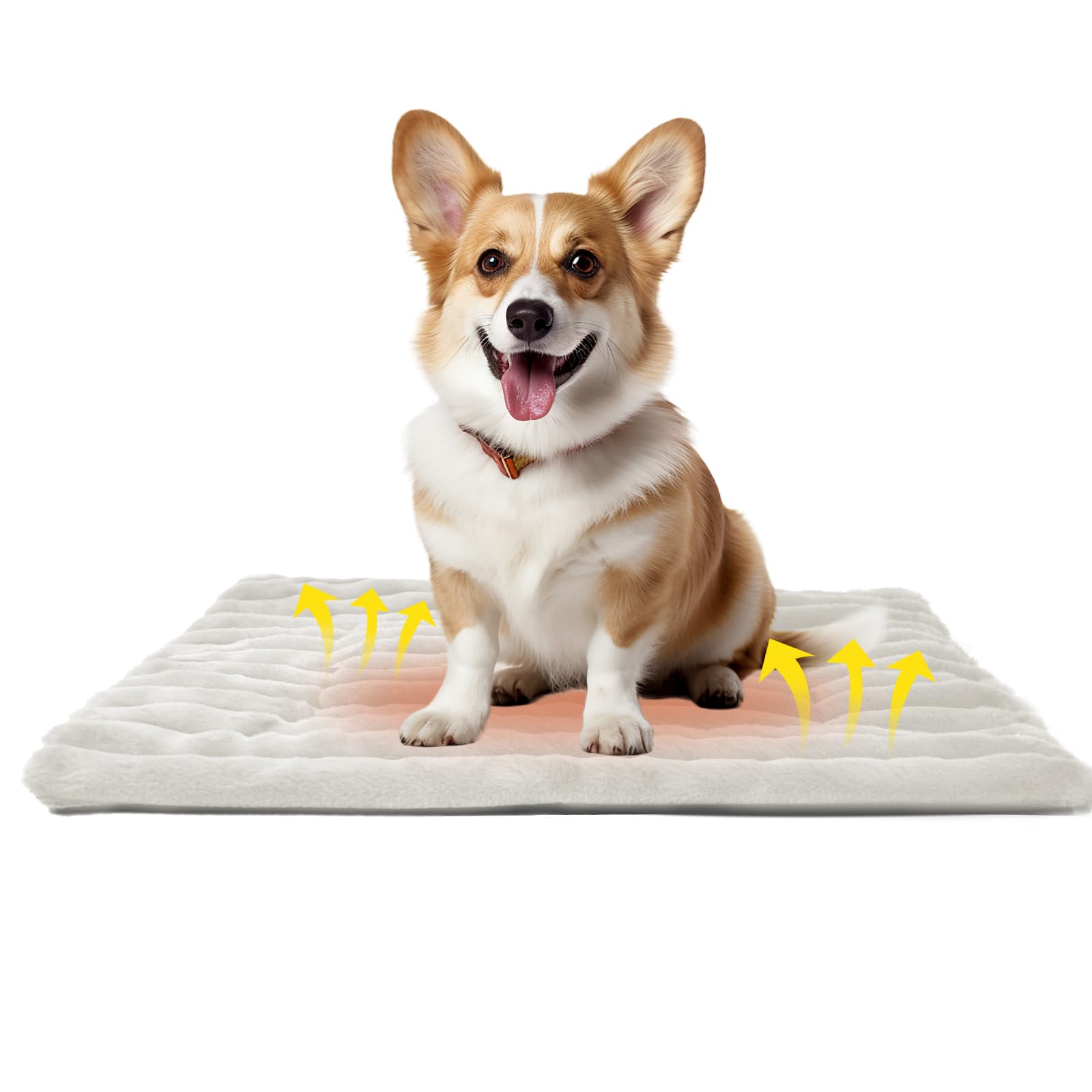 Self Warming Dog Bed Washable Self Heating Cat Mat Heated Dog Crate Pad Extra Warm Thermal Pet Pad Blanket for Indoor Outdoor with Soft Corduroy Velvet Cover Non-Slip Bottom (M30x20 White)