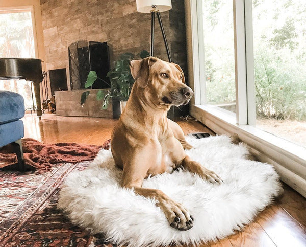 Faux Fur Orthopedic Dog Bed for Support