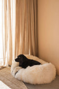 Oval Natural Sheepskin Pet Bed - White