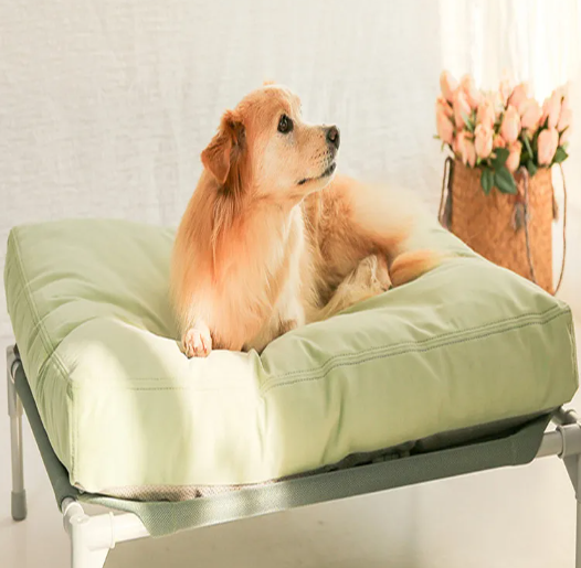 Cozy Paws™ Deluxe Warm Dog Bed